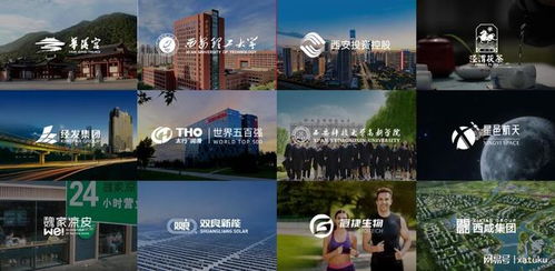 西安定制类网站有哪些优势和特点