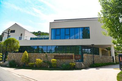 "千万工程"绘新景 和美乡村入画来 17家媒体和网络大V深入蓝田探寻乡村变革之路