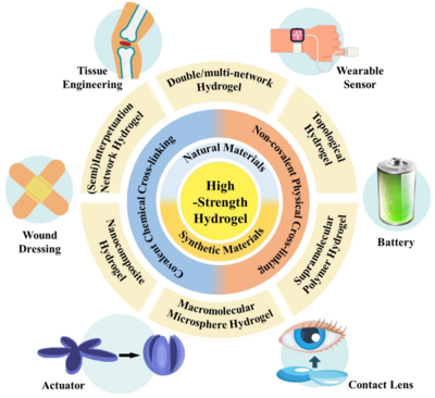 西工大黄河源、王文智/西安交大赵鑫 Nano Res.:高强度水凝胶的制备策略、增强机制与未来挑战