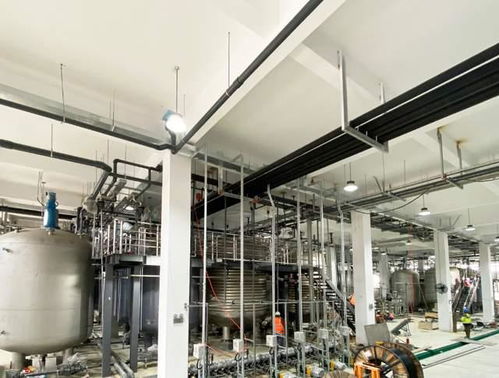 科学家发现衰老逆转关键分子，富人圈争相追捧，市场规模或达300亿